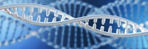 L’archivage sur ADN de Biomemory franchit l’étape commerciale